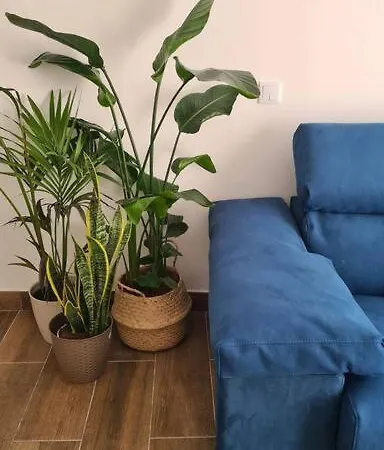 Oldtown Terrace ファロ